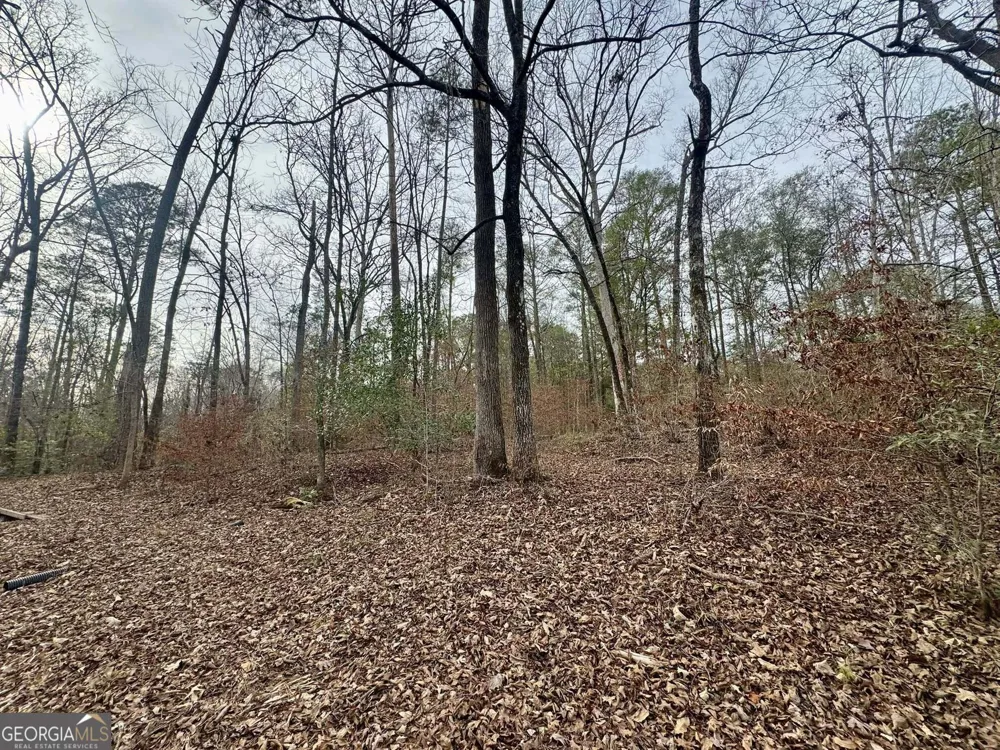 0 Hatchee Ridge RD Dublin, GA 31021