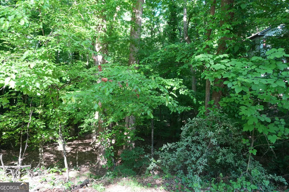 0 Lakeside TRL Cumming, GA 30041