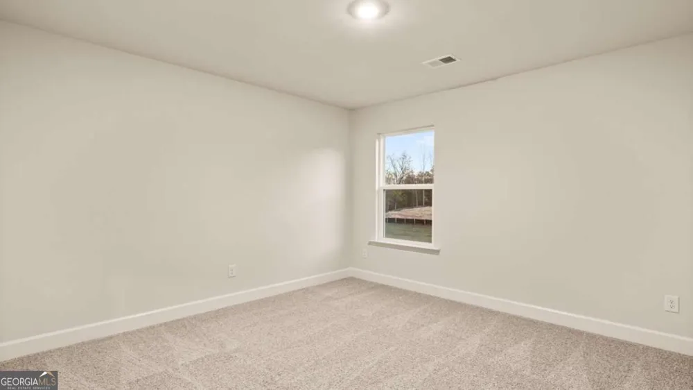 55 Blufton CT Senoia, GA 30276