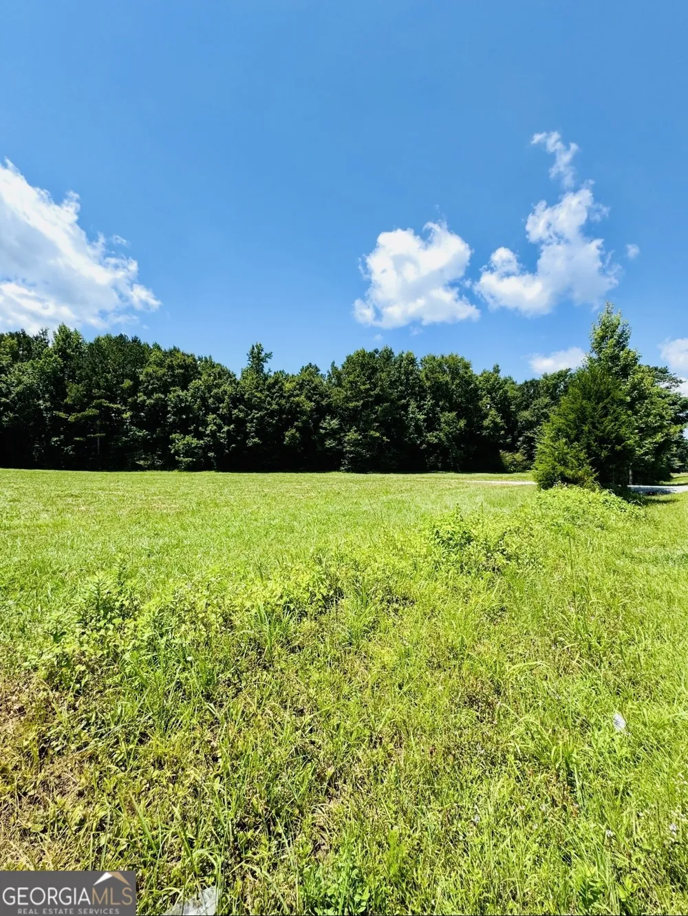 0 Willowood RD LaGrange, GA 30241