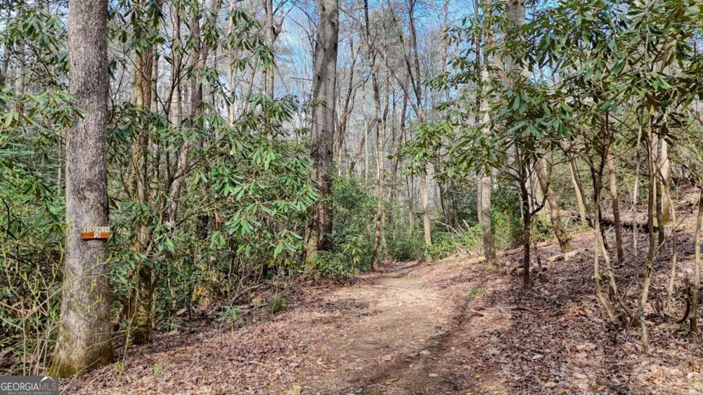 520 Farmer DR Murphy, NC 28906