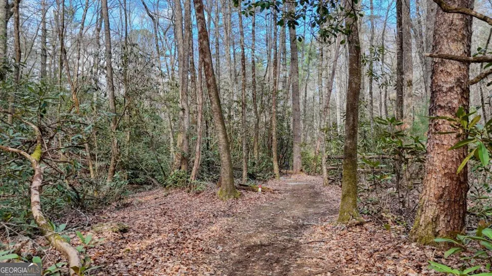 520 Farmer DR Murphy, NC 28906