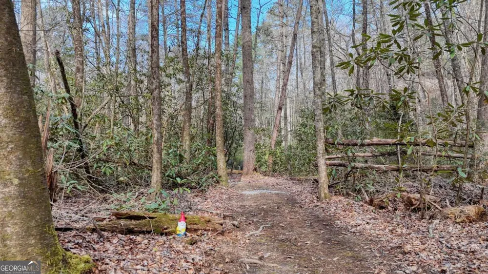 520 Farmer DR Murphy, NC 28906