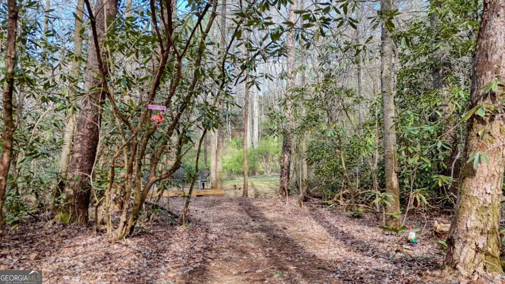 520 Farmer DR Murphy, NC 28906