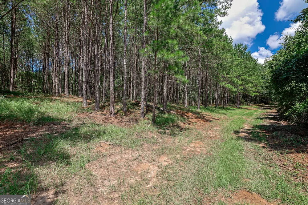 0 Wriley RD Mcintyre, GA 31054