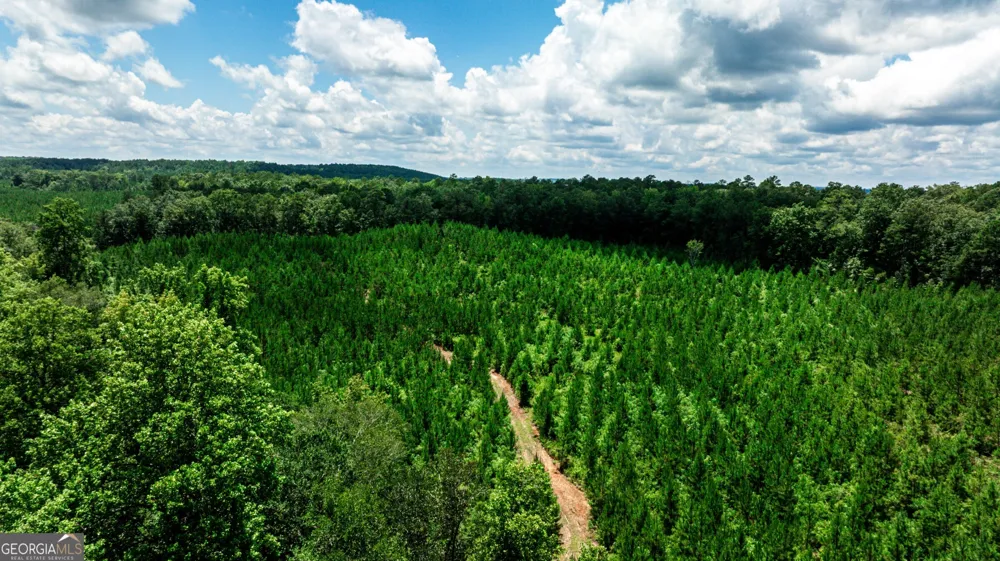 0 Wriley RD Mcintyre, GA 31054
