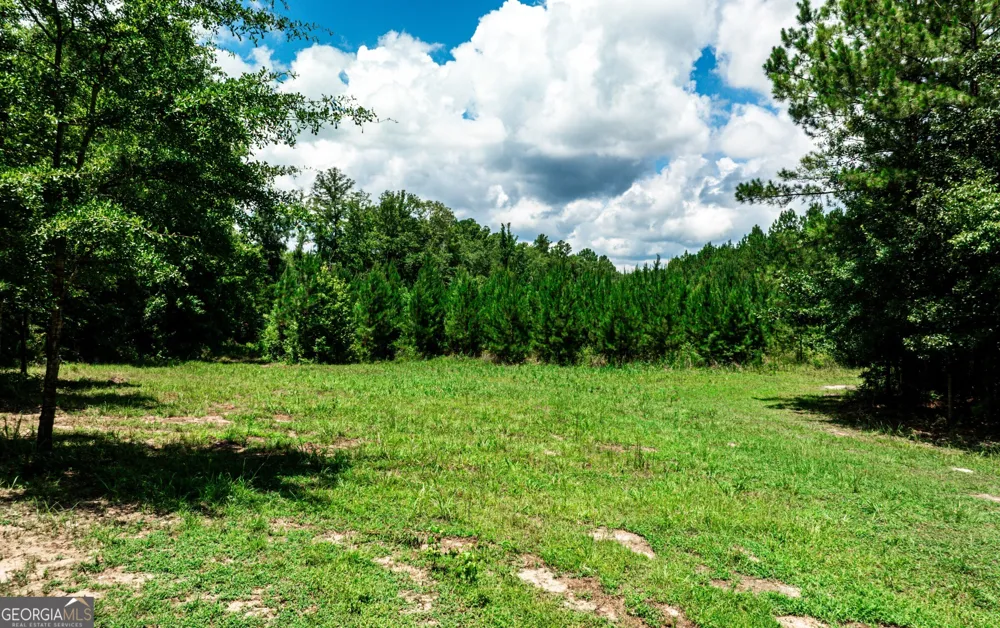 0 Wriley RD Mcintyre, GA 31054