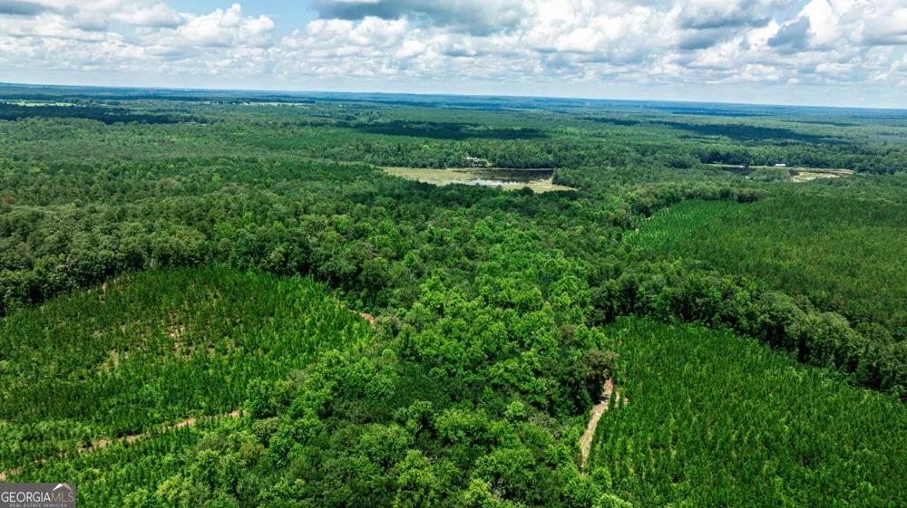 0 Wriley RD Mcintyre, GA 31054