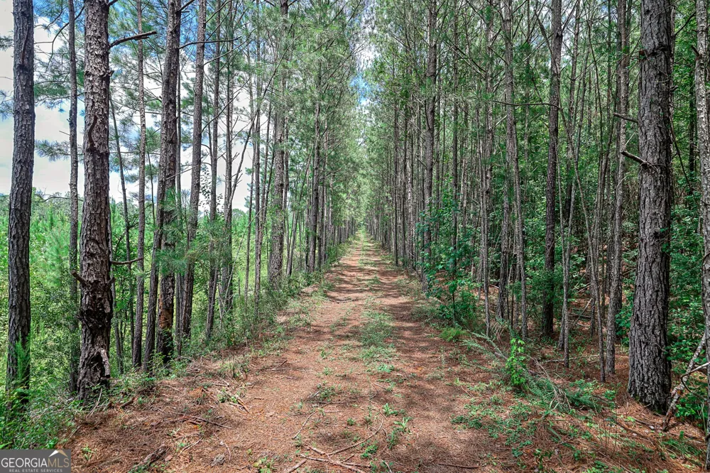 0 Wriley RD Mcintyre, GA 31054
