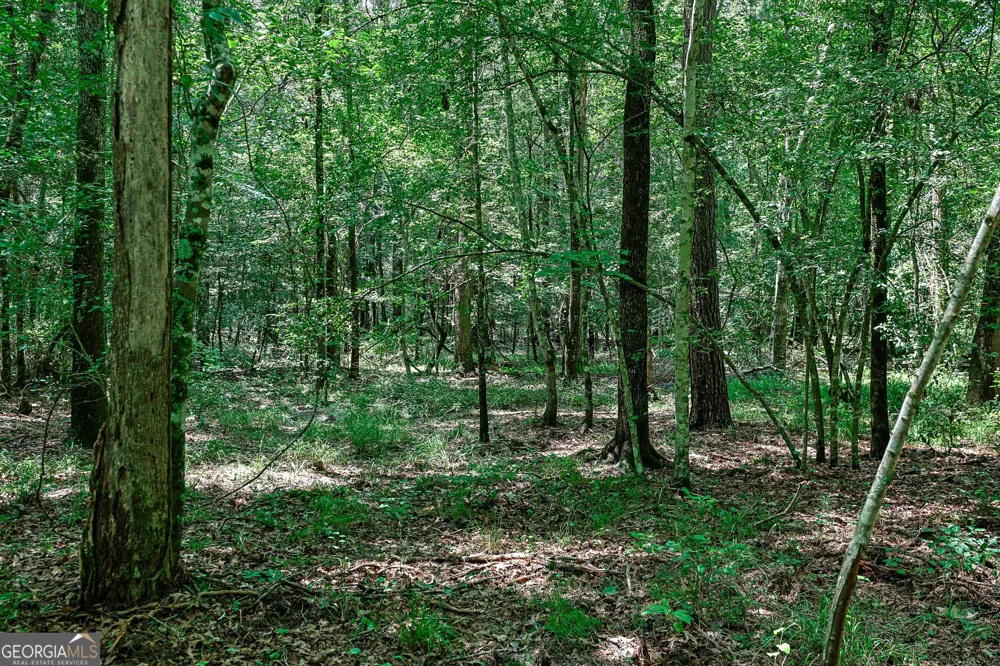 0 Wriley RD Mcintyre, GA 31054