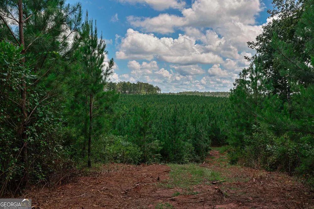 0 Wriley RD Mcintyre, GA 31054