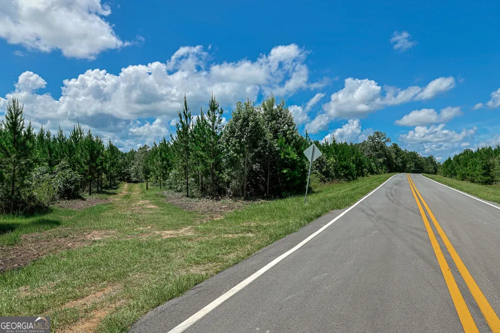 0 Wriley RD Mcintyre, GA 31054