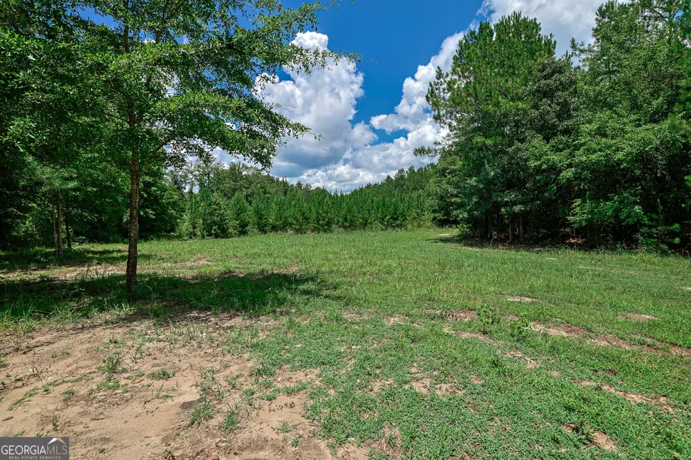 0 Wriley RD Mcintyre, GA 31054