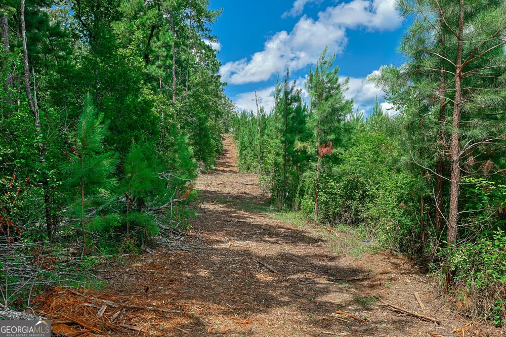 0 Wriley RD Mcintyre, GA 31054