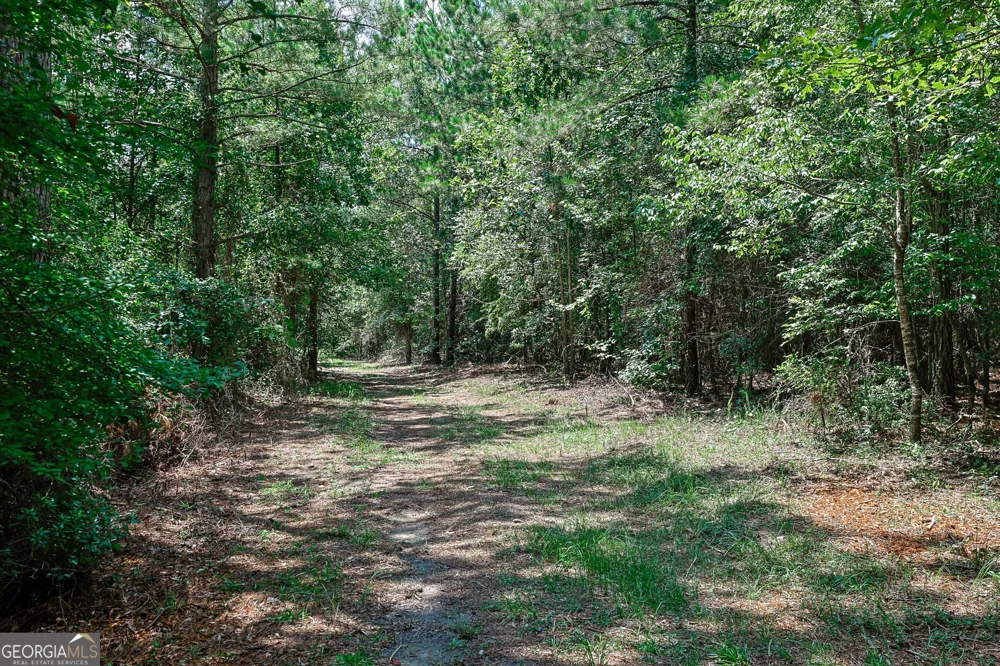 0 Wriley RD Mcintyre, GA 31054