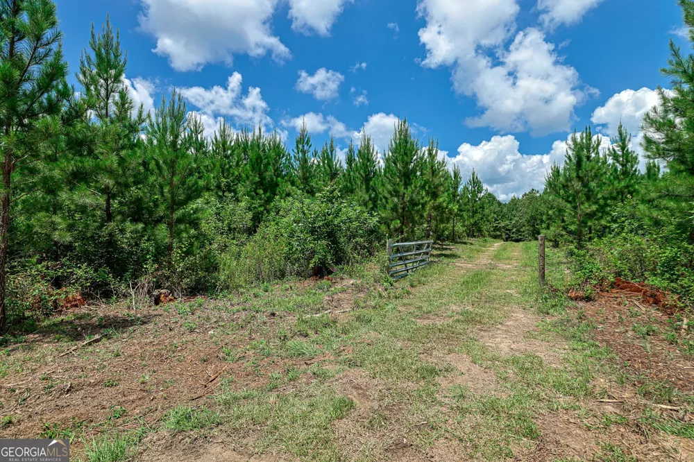 0 Wriley RD Mcintyre, GA 31054