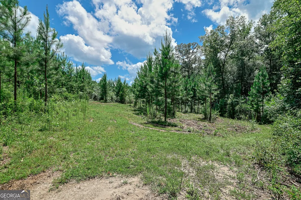 0 Wriley RD Mcintyre, GA 31054