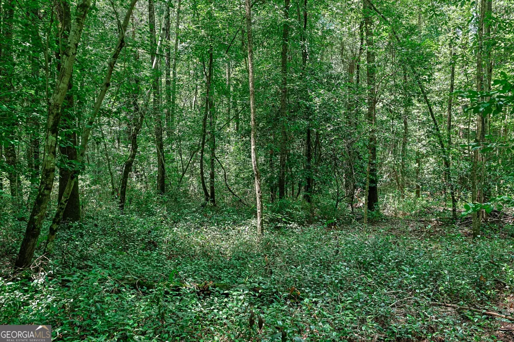 0 Wriley RD Mcintyre, GA 31054