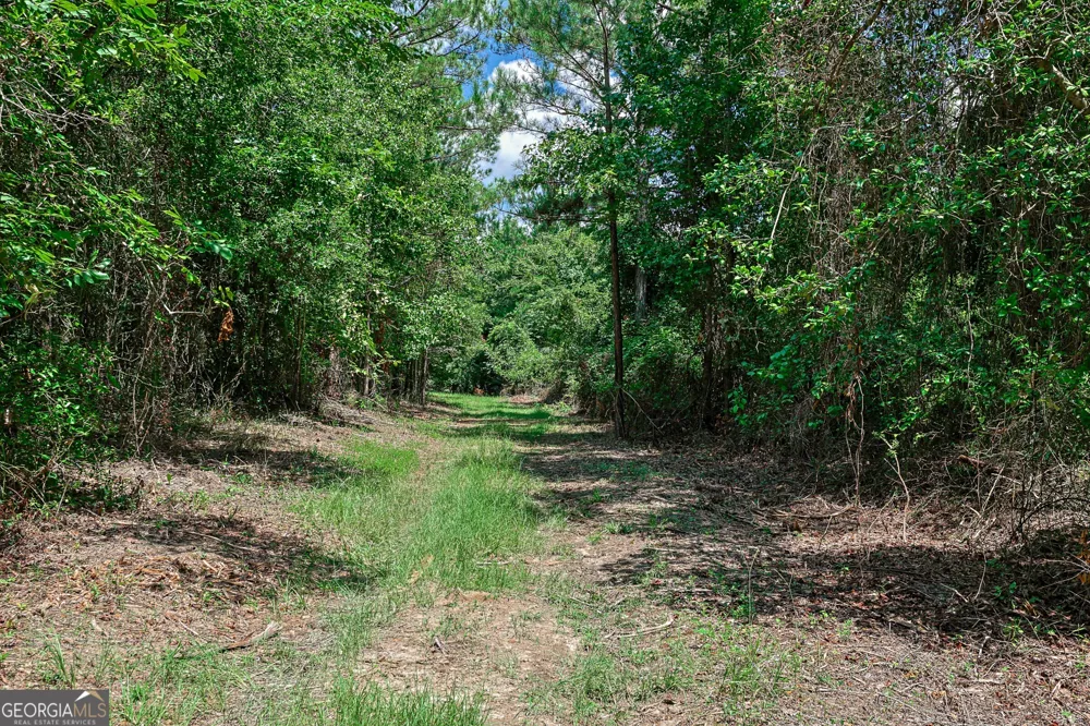 0 Wriley RD Mcintyre, GA 31054