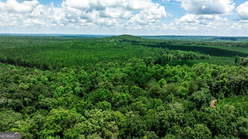 0 Wriley RD Mcintyre, GA 31054
