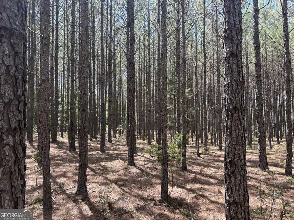 0 Wriley RD Mcintyre, GA 31054
