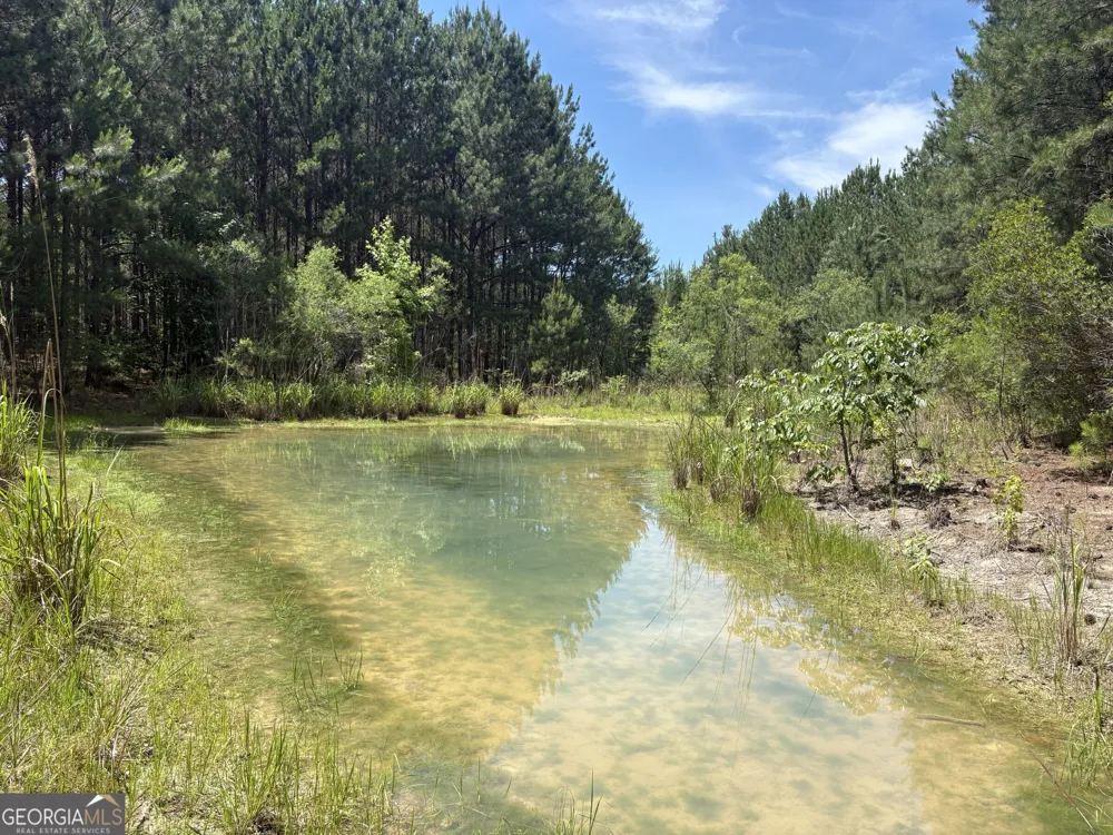 0 Wriley RD Mcintyre, GA 31054