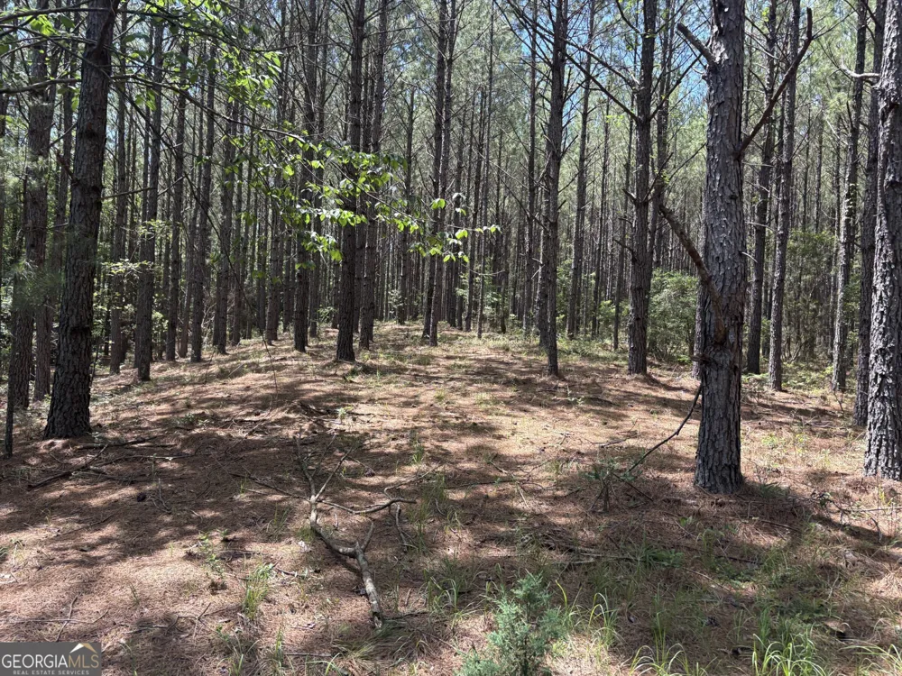 0 Wriley RD Mcintyre, GA 31054