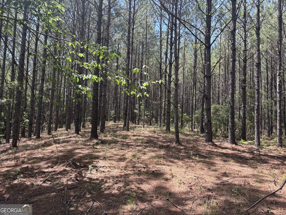 0 Wriley RD Mcintyre, GA 31054