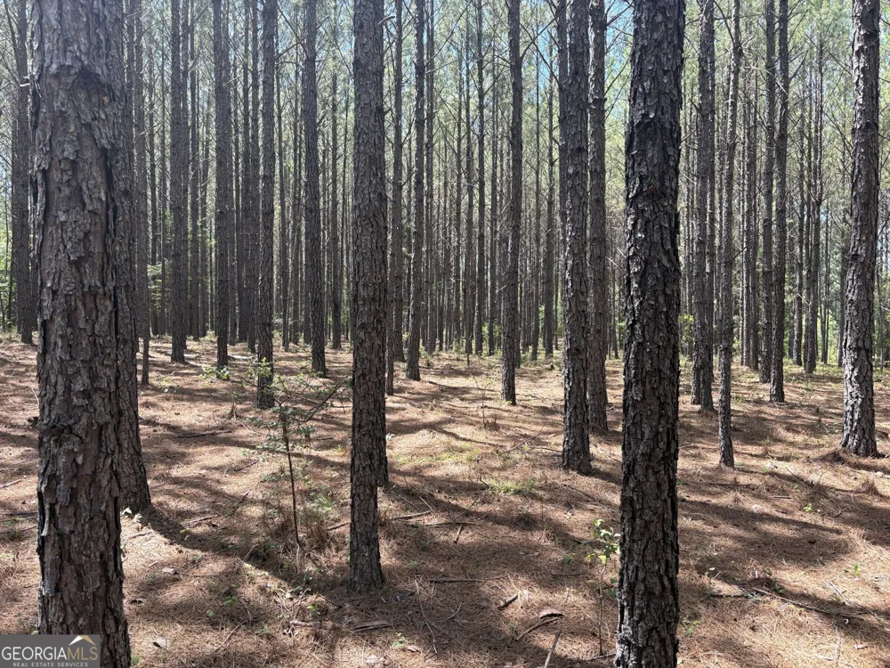 0 Wriley RD Mcintyre, GA 31054