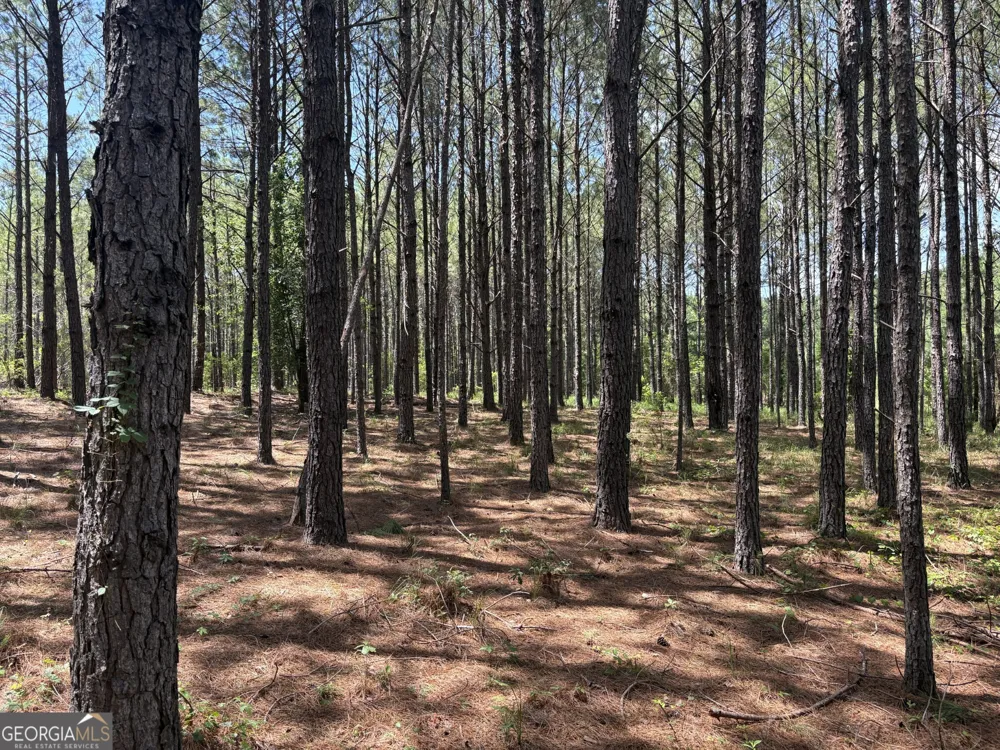 0 Wriley RD Mcintyre, GA 31054