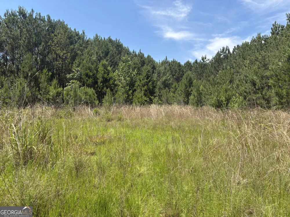 0 Wriley RD Mcintyre, GA 31054