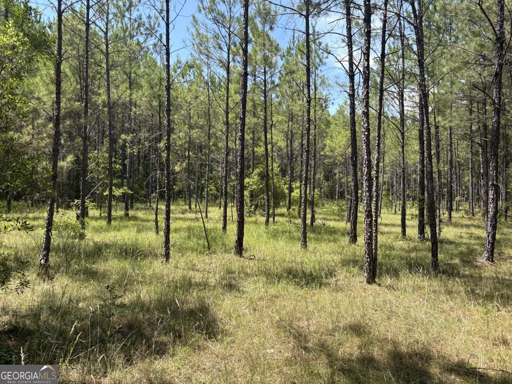 0 Wriley RD Mcintyre, GA 31054