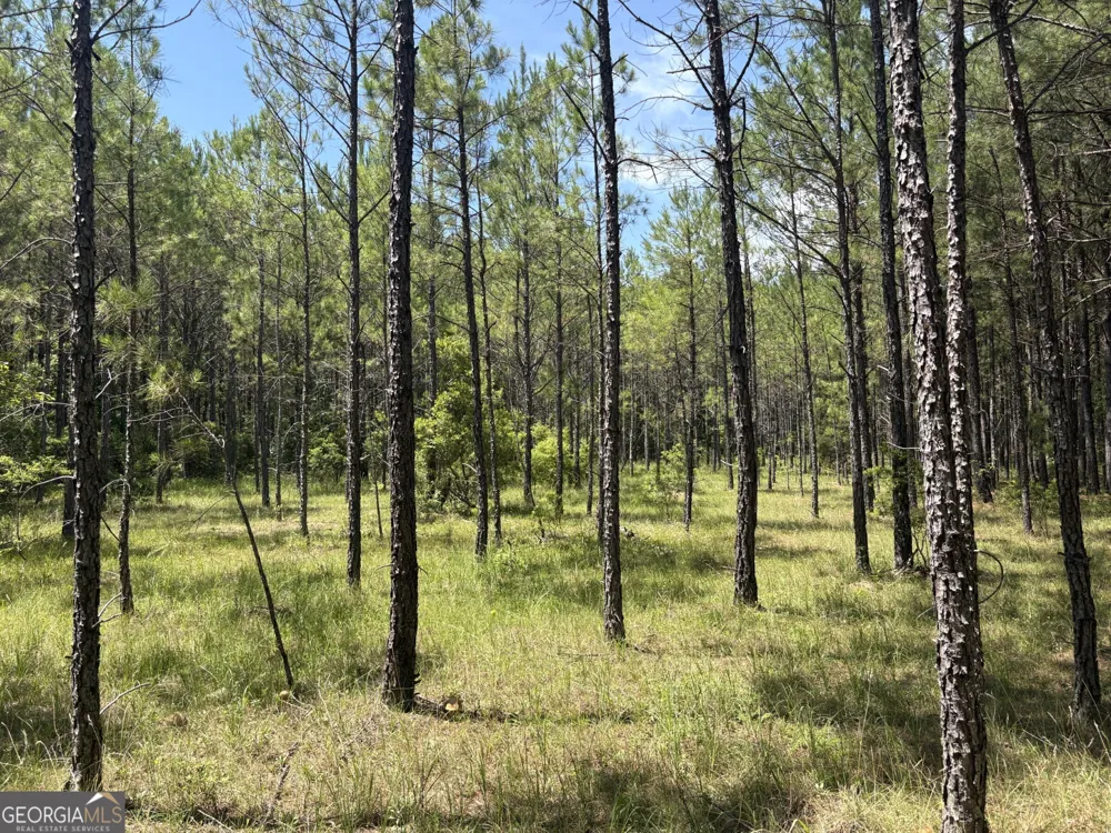 0 Wriley RD Mcintyre, GA 31054