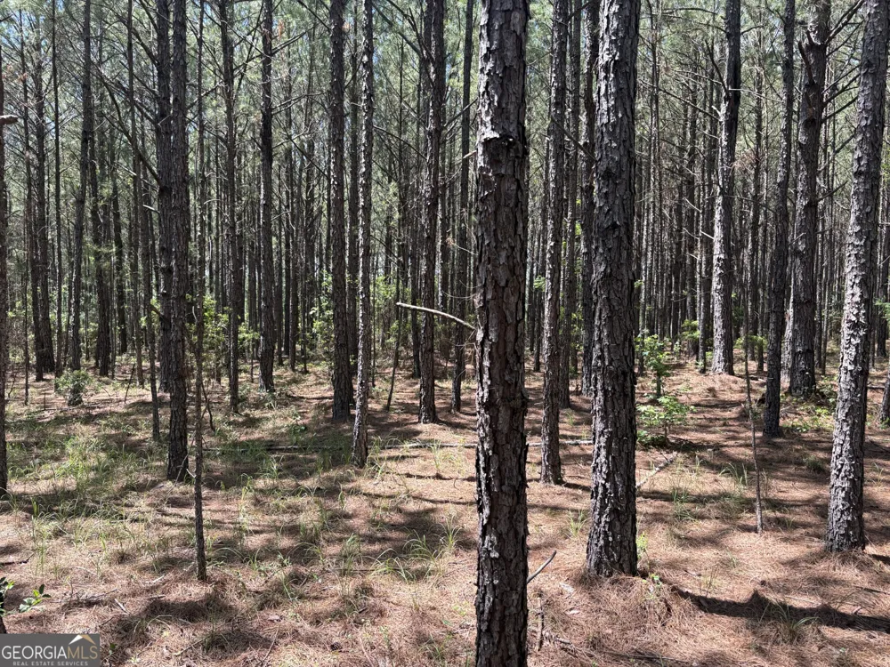 0 Wriley RD Mcintyre, GA 31054