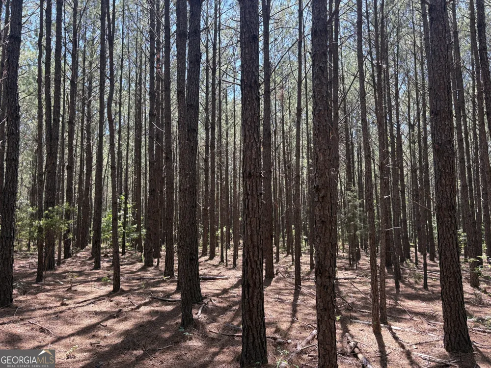 0 Wriley RD Mcintyre, GA 31054