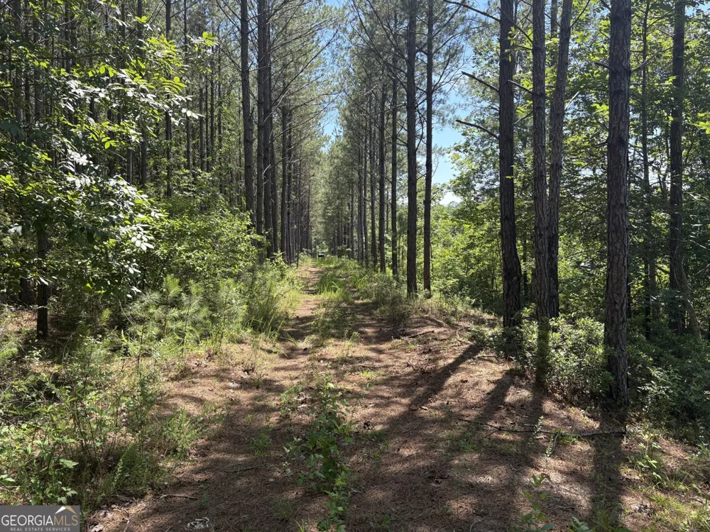 0 Wriley RD Mcintyre, GA 31054