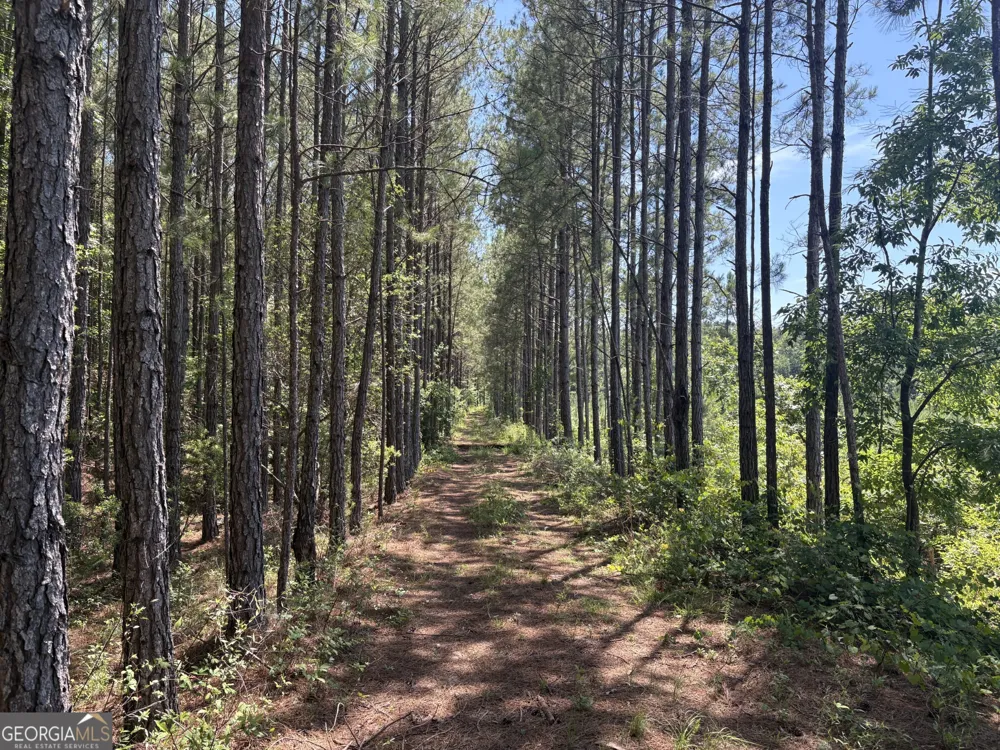 0 Wriley RD Mcintyre, GA 31054