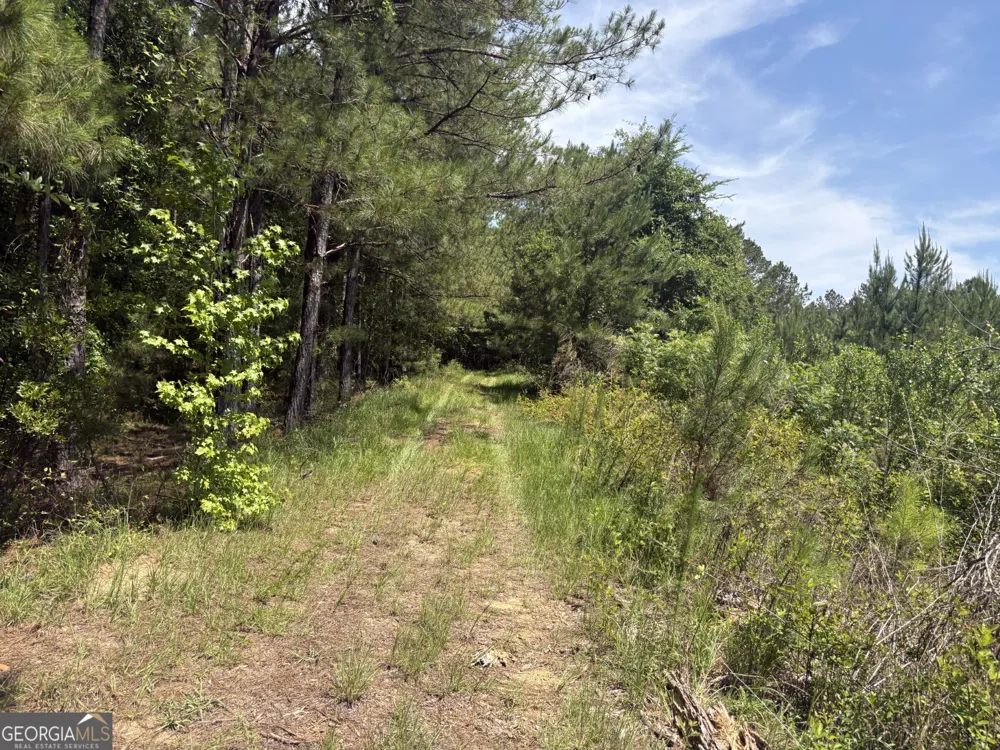0 Wriley RD Mcintyre, GA 31054