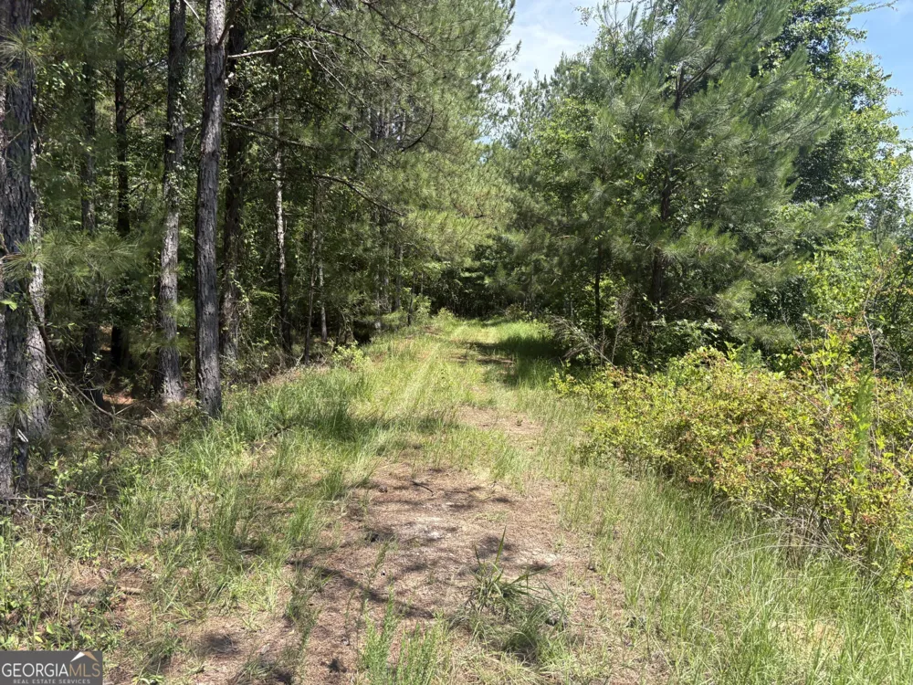 0 Wriley RD Mcintyre, GA 31054