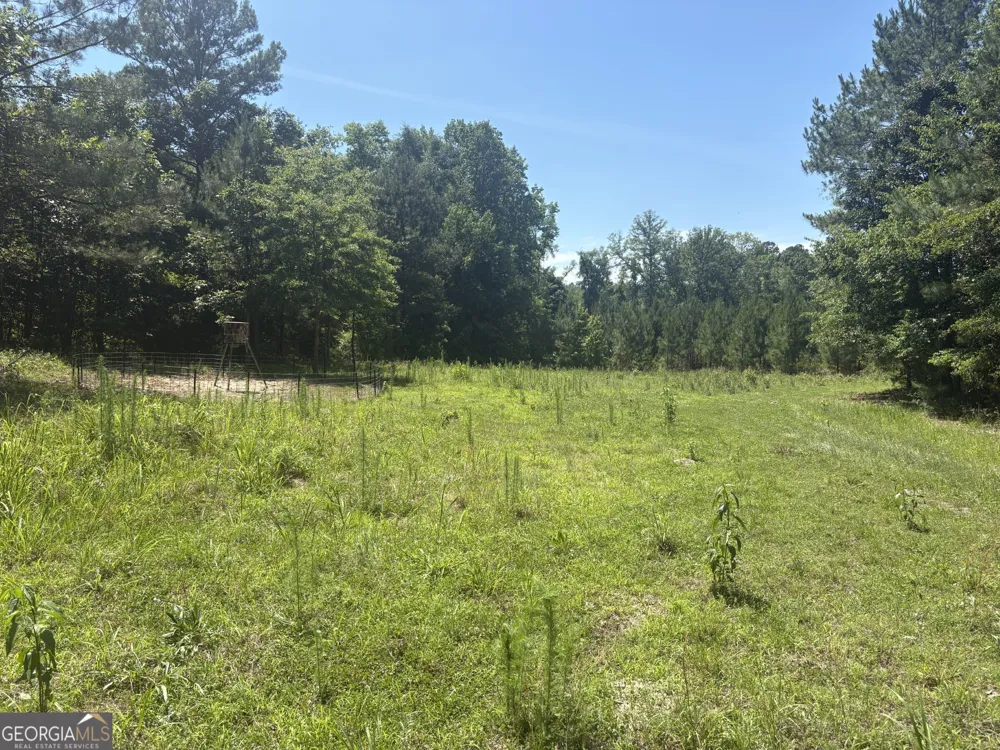 0 Wriley RD Mcintyre, GA 31054
