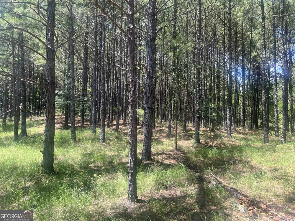 0 Wriley RD Mcintyre, GA 31054