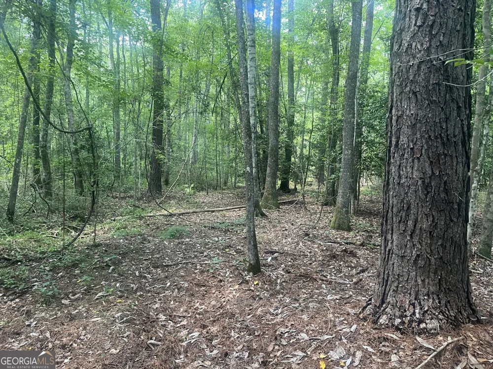 0 Wriley RD Mcintyre, GA 31054