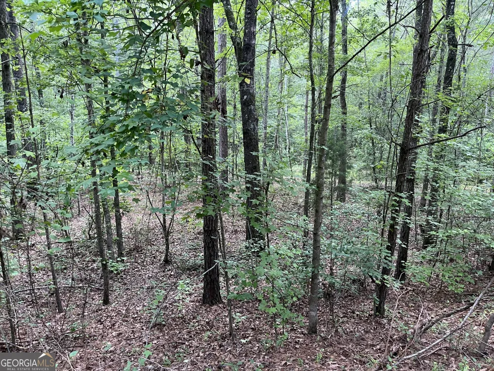 0 Wriley RD Mcintyre, GA 31054