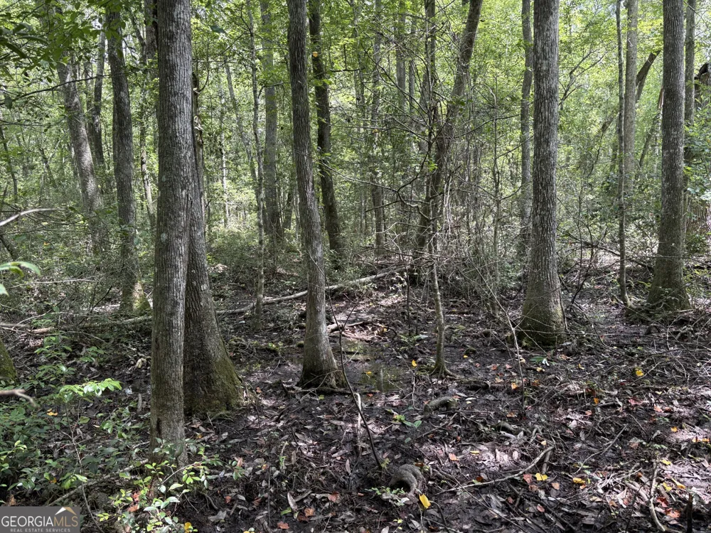 0 Wriley RD Mcintyre, GA 31054