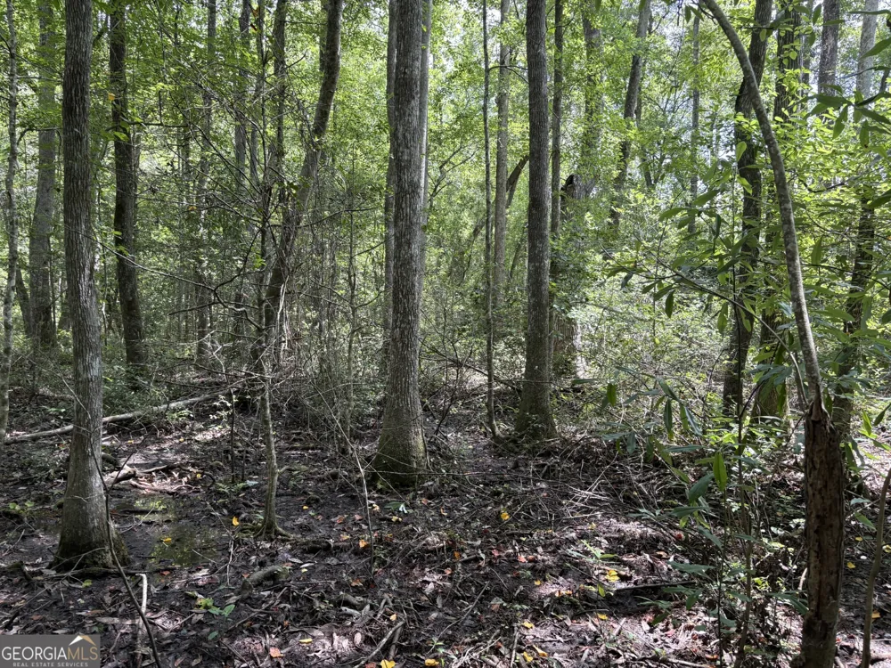 0 Wriley RD Mcintyre, GA 31054