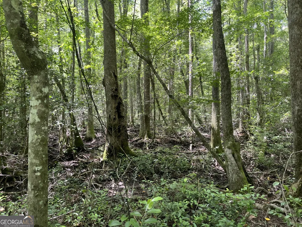 0 Wriley RD Mcintyre, GA 31054