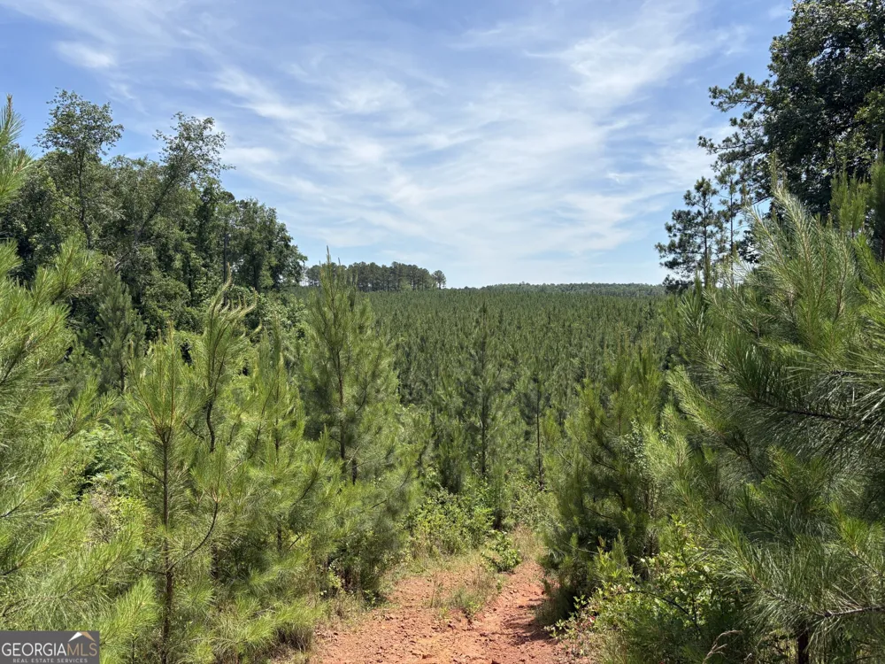 0 Wriley RD Mcintyre, GA 31054
