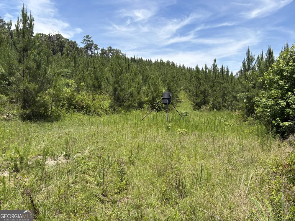 0 Wriley RD Mcintyre, GA 31054
