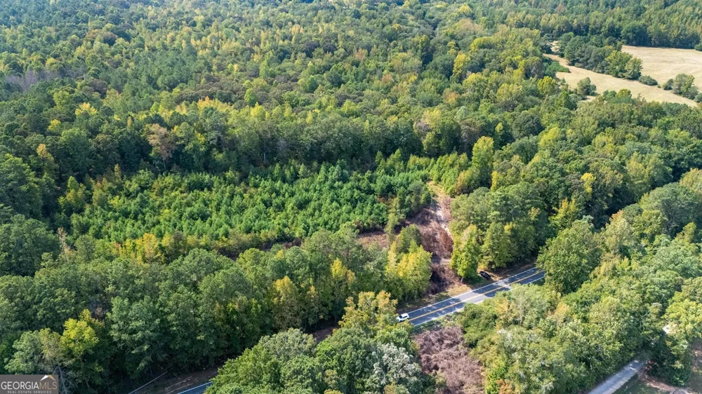 93.49 ACRES Forrest RD Grantville, GA 30220