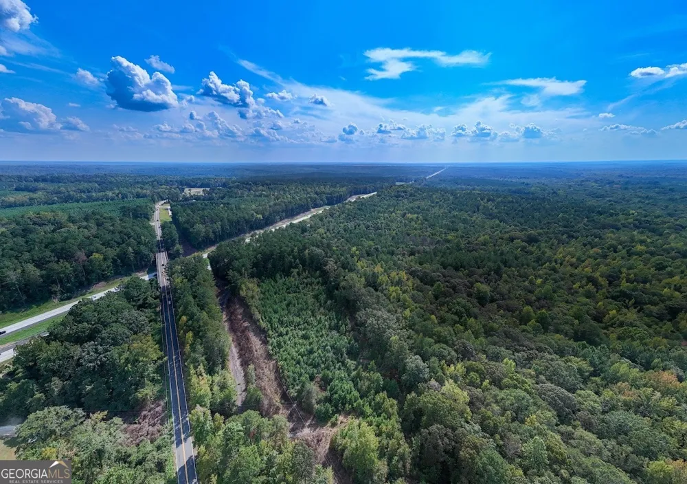 93.49 ACRES Forrest RD Grantville, GA 30220